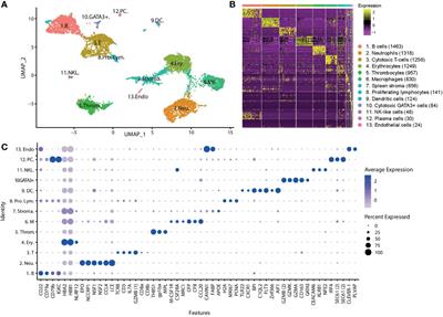 Single-Cell Transcriptome Profiling of Immune Cell Repertoire of the Atlantic Cod Which Naturally Lacks the Major Histocompatibility Class II System